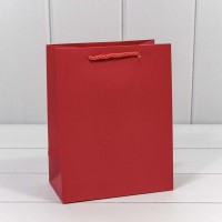Пакет подарочный "Фактура" Красный 18*23*10