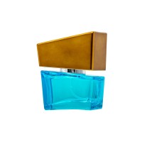 Духи с феромонами HOT Shiatsu «Lightblue»,мужские,15 мл