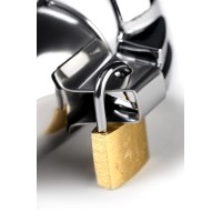 Пояс верности мужской TOYFA Metal с открытой головкой, серебряный, 13 см