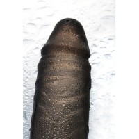 Насадка XLover by TOYFA, для увеличения размера, TPE, черная, 15,5 см