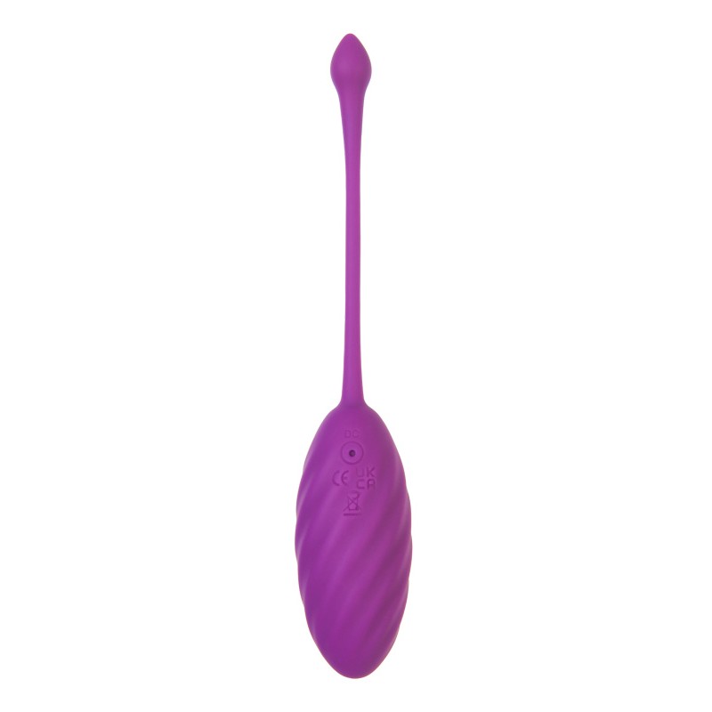 Виброяйцо A-Toys by TOYFA Purr, силикон, фиолетовый, 18 см