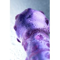 Двусторонний фаллоимитатор Sexus Glass, стекло, фиолетовый, 19,5 см