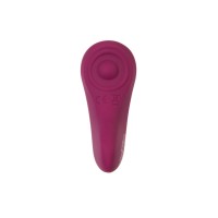 Набор вибраторов Satisfyer Box 1 Connect App (Double Joy + Sexy Secret)