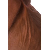Реалистичный ротатор RealStick Elite Mulatto, коричневый, 16 см