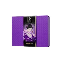 Подарочный набор Shunga Naughter Kit