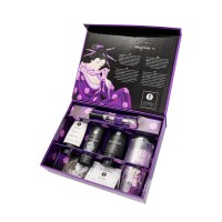 Подарочный набор Shunga Naughter Kit