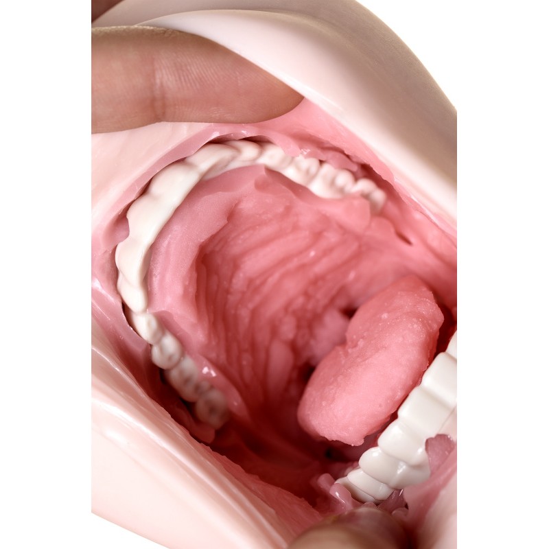 Мастурбатор реалистичный рот, Sugofella, ENJOY TOYS, TPE, телесный, 19 см