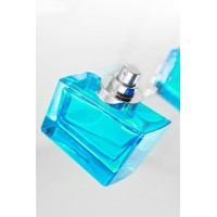 Духи с феромонами HOT Shiatsu «Lightblue»,мужские,50 мл