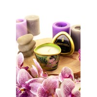 Массажное аромамасло в виде свечи Shunga «Спокойствие. Зеленый чай»(Zenitude.Exotic Green Tea) 170мл
