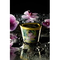 Массажное аромамасло в виде свечи Shunga «Спокойствие. Зеленый чай»(Zenitude.Exotic Green Tea) 170мл