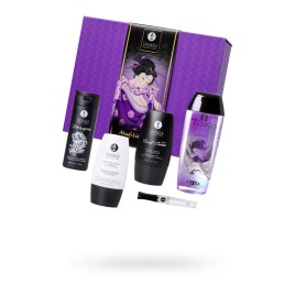 Подарочный набор Shunga Naughter Kit, 5 средств