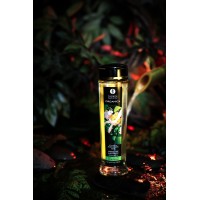 Масло массажное Shunga Organica «Зелёный чай» (Exotic Green Tea), 240 мл