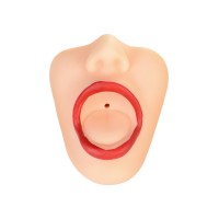 Мастурбатор реалистичный  TOYFA Juicy Pussy Juicy Lips, рот, TPR, телесный, 12,6 см