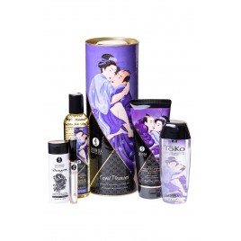 Подарочный набор Shunga «Плотские утехи» Carnal Pleasures, 5 средств