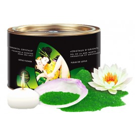 Соль мёртвого моря с лечебными свойствами + свеча Shunga Bath Salts Lotus Flower 600 гр