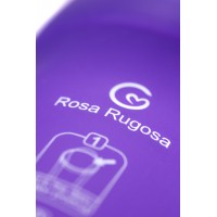 УФ контейнер для гигиенической обработки игрушек Rosa Rugosa Mini Bar