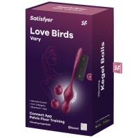 Вагинальные смарт-шарики с вибрацией и сменными утяжелителями Satisfyer Love Birds Vary бордовый