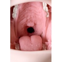 Мастурбатор реалистичный рот, Sugofella, ENJOY TOYS, TPE, телесный, 19 см