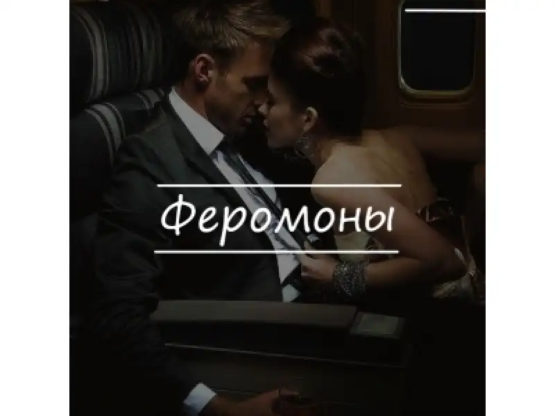 Феромоны что это?