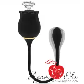 Вакуумно-волновой стимулятор с вибрацией Black Rose