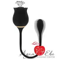 Изображение Адам и Ева Вакуумно-волновой стимулятор с вибрацией Black Rose