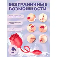 Изображение Адам и Ева Вакуумно-волновой стимулятор с вибрацией Black Rose