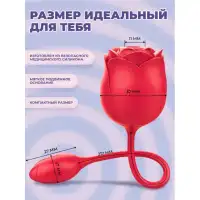 Изображение Адам и Ева Вакуумно-волновой стимулятор с вибрацией Black Rose