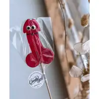 Фото  Карамель без сахара Funny Dick
