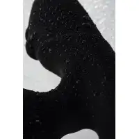 Фото Erotist Стимулятор простаты Erotist Fourth, силикон, чёрный, 12,4 см