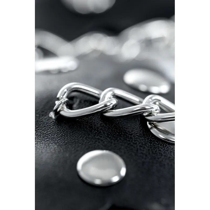 Изображение Theatre by TOYFA Пэстис с цепочкой TOYFA Theatre, черный