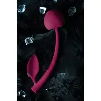 JOS Вагинальный шарик JOS WILD CHERRY, силикон, бордовый, 13 см — купить в Минске Изображение JOS Вагинальный шарик JOS WILD CHERRY, силикон, бордовый, 13 см