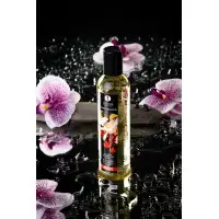 Shunga, Канада Масло массажное Shunga Organica «Кленовое наслаждение» (Maple Delight), 240 мл — купить в Минске Изображение Shunga, Канада Масло массажное Shunga Organica «Кленовое наслаждение» (Maple Delight), 240 мл
