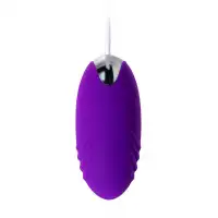 A-toys by TOYFA Виброяйцо A-Toys by TOYFA Costa, силикон, фиолетовый, 6,5 см — купить в Минске Изображение A-toys by TOYFA Виброяйцо A-Toys by TOYFA Costa, силикон, фиолетовый, 6,5 см