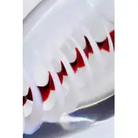 Фото Sexus Glass Двусторонний фаллоимитатор Sexus Glass, стекло, синий, 18 см