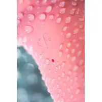 Фото Satisfyer, Германия Надувной вибратор Satisfyer Air Pump Booty 5+ Connect App, силикон, розовый, 15 см