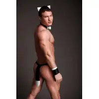 Изображение  Костюм мужской Кот Flirton, черно-белый (46-48)