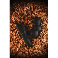 Фото Erotist Стимулятор простаты Erotist Fourth, силикон, чёрный, 12,4 см
