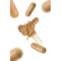 Изображение Erotist Капсулы Erotist COMPLEX FOR MAN, для улучшения эректильной функции, 120капсул
