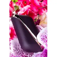 Фото Satisfyer, Германия Вакуумно-волновой стимулятор клитора Satisfyer Traveler, силикон, баклажан, 10,7 см