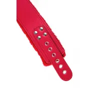 Фото  Ошейник TOYFA Basic, PU кожа, красный, 43 см