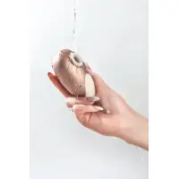 Фото Satisfyer, Германия Вакуум-волновой бесконтактный стимулятор клитора Satisfyer Pro Deluxe NG, силикон, розовый, 11 см.