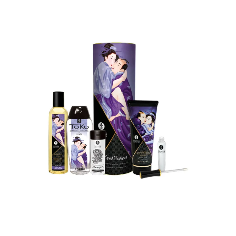 Изображение Shunga, Канада Подарочный набор Shunga «Плотские утехи» Carnal Pleasures, 5 средств