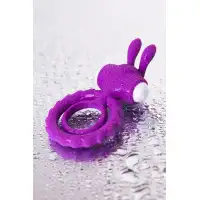 Фото JOS Эрекционное кольцо на пенис JOS GOOD BUNNY, силикон, фиолетовый, 9 см