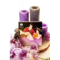 Shunga, Канада Порошок для принятия ванны Shunga серии LOVEBATH «Чувственный лотос», фиолетовый, 650 гр — купить в Минске Фото Shunga, Канада Порошок для принятия ванны Shunga серии LOVEBATH «Чувственный лотос», фиолетовый, 650 гр