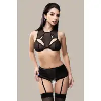 Фото Waname Apparel Эротические трусики-пояс для чулок Waname Elegance с высокой посадкой черные (50-52) в пакете