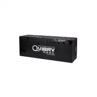 Фото TOYFA Basic Вибратор клиторальный Qvibry 8Gb USB памяти, силикон, черный, 12 см