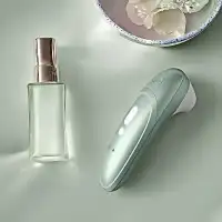 Womanizer, Германия Бесконтактный вакуумно-волновой стимулятор клитора Womanizer Pro шалфей