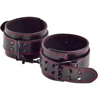 Фото Lovetoy, Китай Поножи Pleasure Ankle cuffs