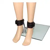 Фото Lovetoy, Китай Поножи Pleasure Ankle cuffs