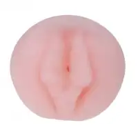 Изображение Baile, Китай Вакуумная помпа со сменными насадками Penis Pump